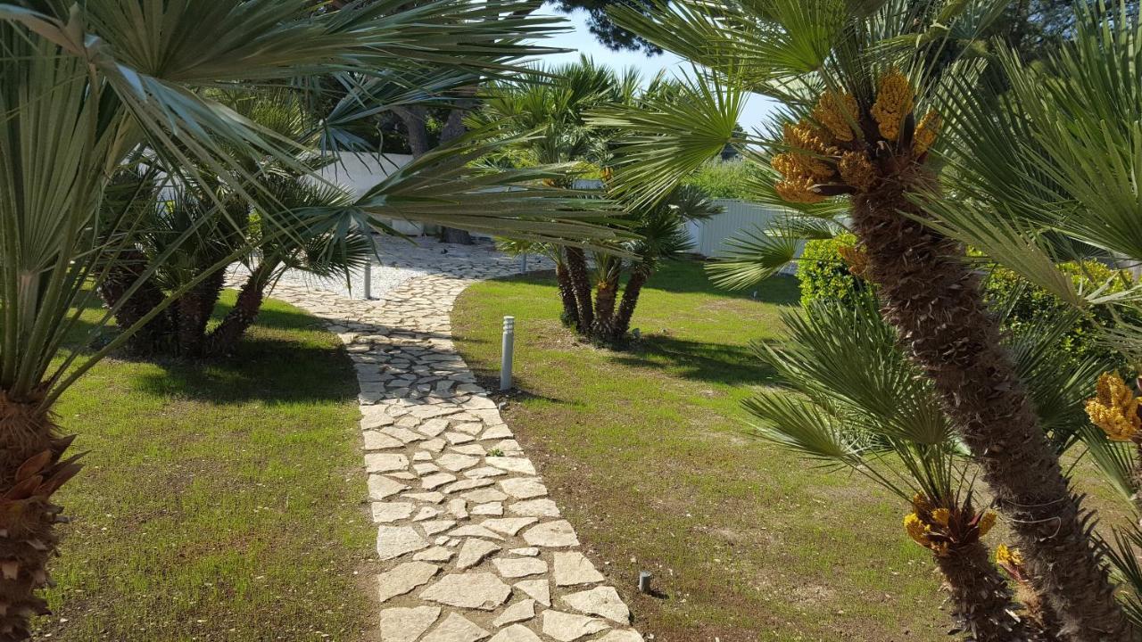 טרני Torrelama Room & Breakfast מראה חיצוני תמונה
